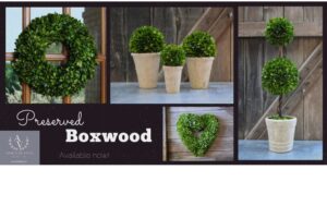 Boxwood Haven