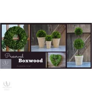 Boxwood