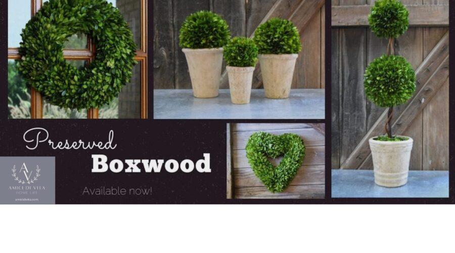 Boxwood Haven