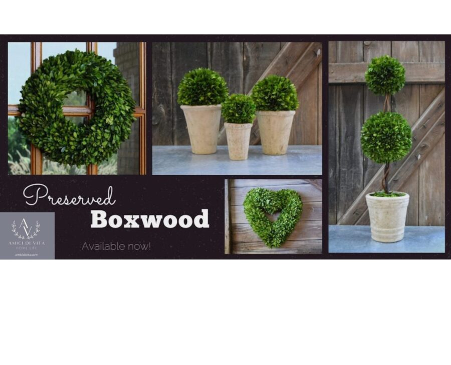 Boxwood Haven