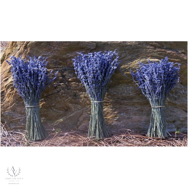 FRENCH LAVENDER - UNSLEEVED - Image 3