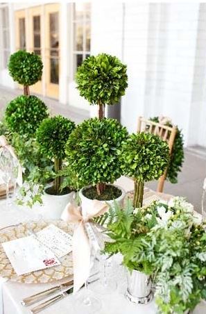 boxwood table