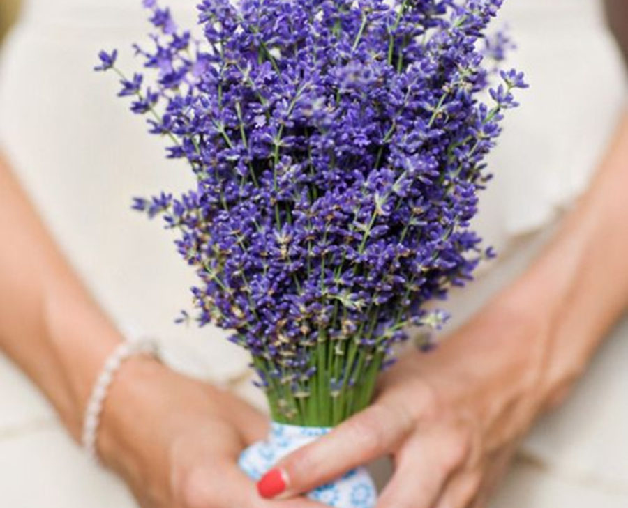 French Lavender Wedding Inspiration