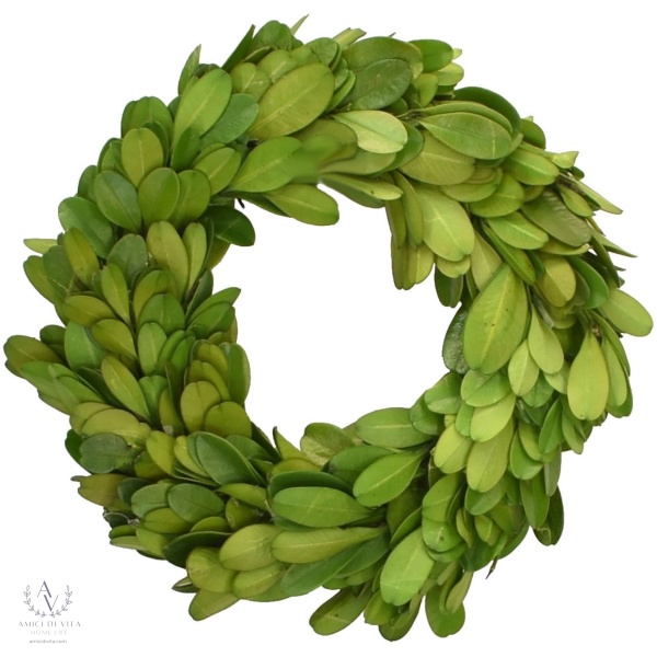 Preserved Boxwood Wreath-CHOOSE 6", 8" OR 10" -Year Round Wreath-Farmhouse Decor-Spring - Image 3