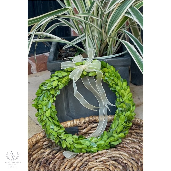 Boxwood Bliss - Elegant Mini Wreaths with Sheer Ribbon