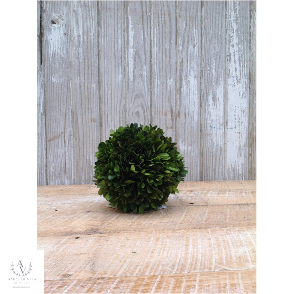 Boxwood Sumptuous Sphere - Image 9