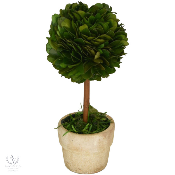 Boxwood Charm: Mini Topiary - Image 7