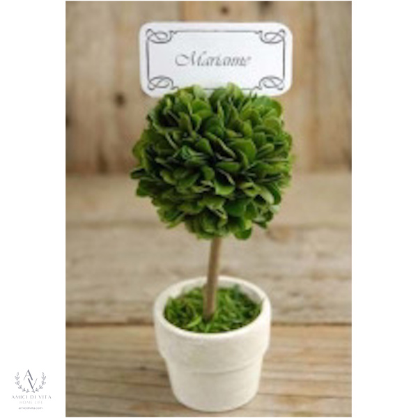 Boxwood Charm: Mini Topiary