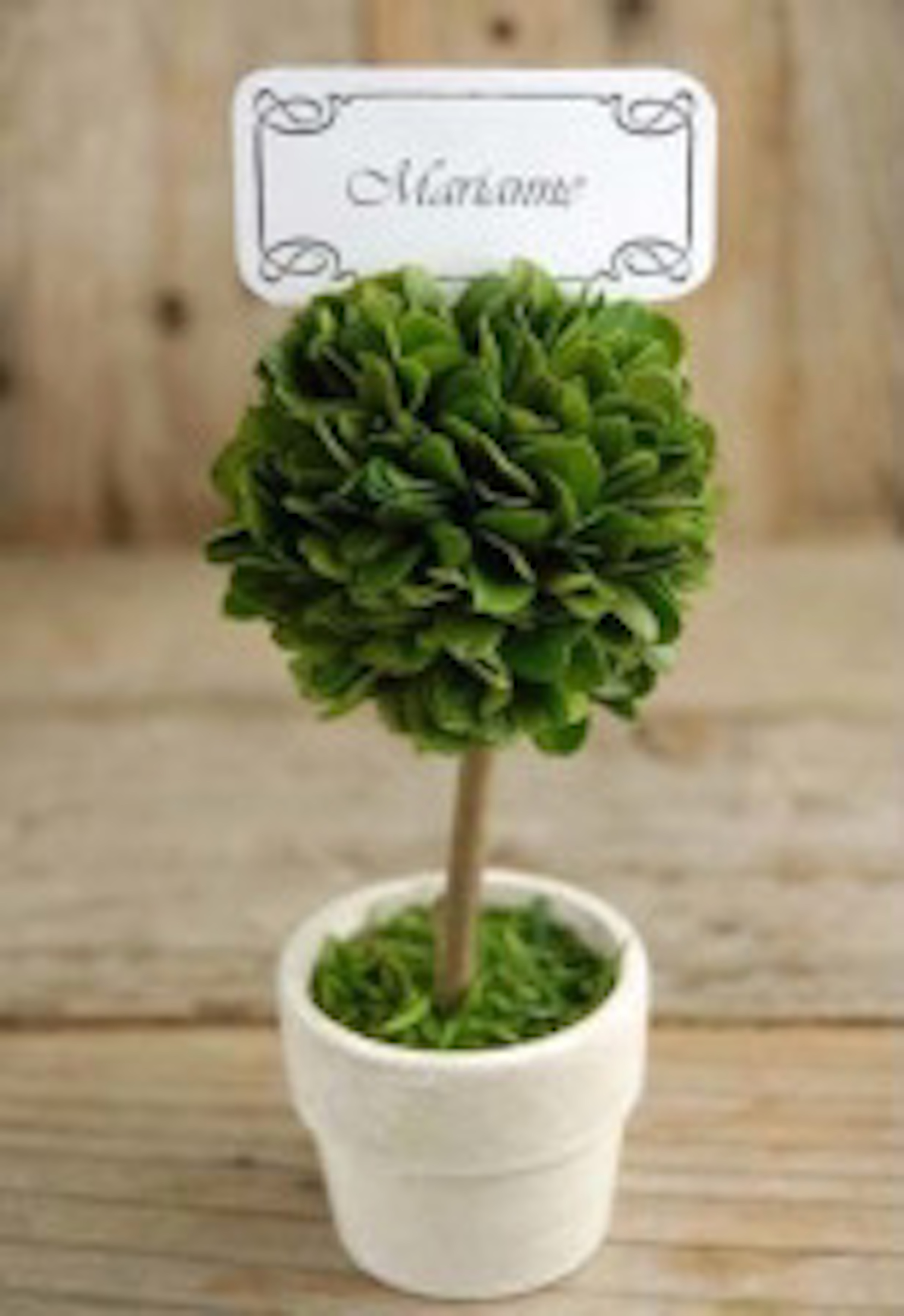 CHOOSE 6″, 8″ OR 10″ Small Mini Heart Shaped Preserved Boxwood